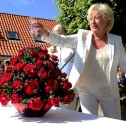 'Birthe Kjær™ Renaissance'® Rosa X 'Birthe Kjær™ Renaissance'® (Renaissancerose) A-Kvalitet,- Barrods Roser Min. 3 Grene