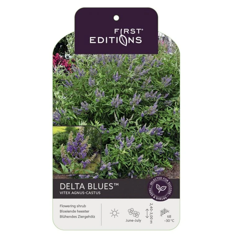 Vitex Agnus-Castus 'Delta Blues' Vitex Agnus-cactus 'Delta Blues' Potte 3,5 Liter,- 30-50 Cm.