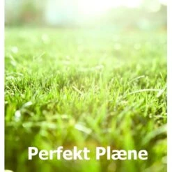 Vedligehold Perfekt Plæne Alt I En årspakke 100 Kvadratmeter.