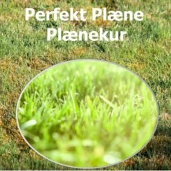 Premium Inkl. Plænekur Perfekt Plæne Alt I En årspakke 100 Kvadratmeter